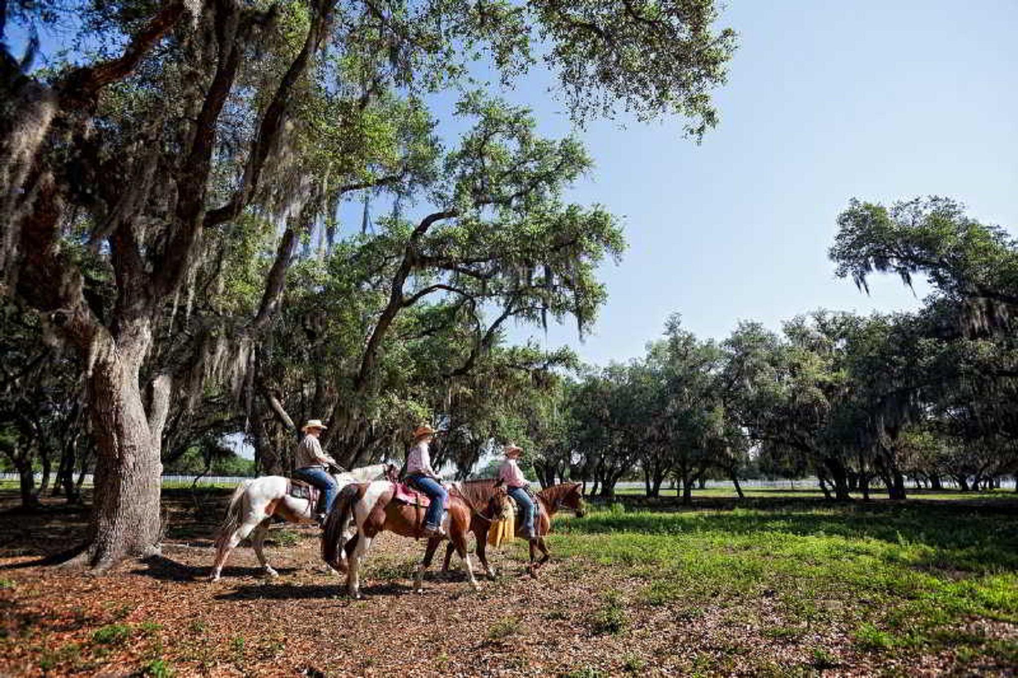 Westgate River Ranch Resort & Rodeo מראה חיצוני תמונה